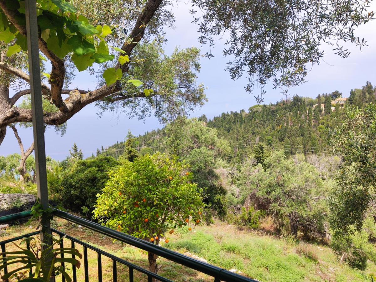 Rania'S Cottage ลักกา ภายนอก รูปภาพ