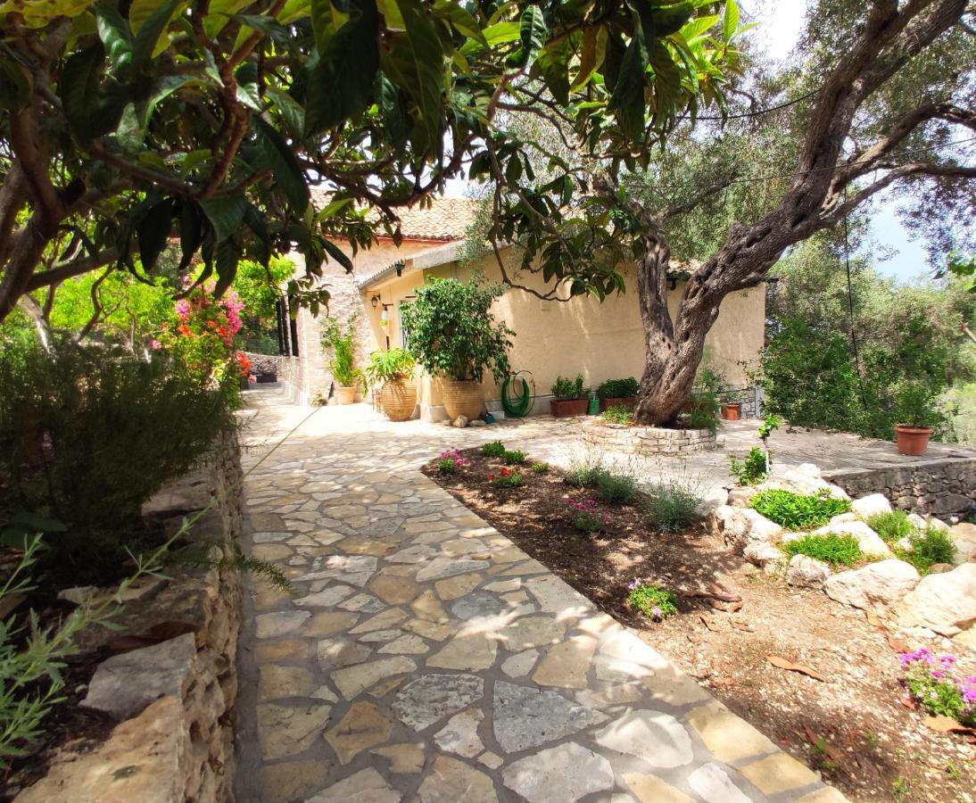 Rania'S Cottage ลักกา ภายนอก รูปภาพ