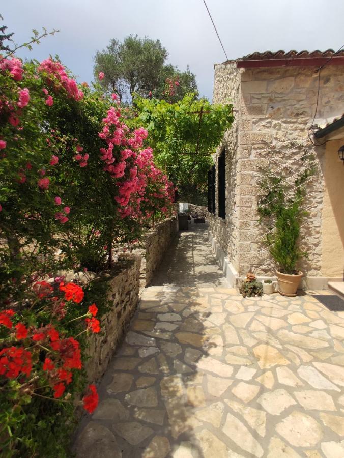 Rania'S Cottage ลักกา ภายนอก รูปภาพ