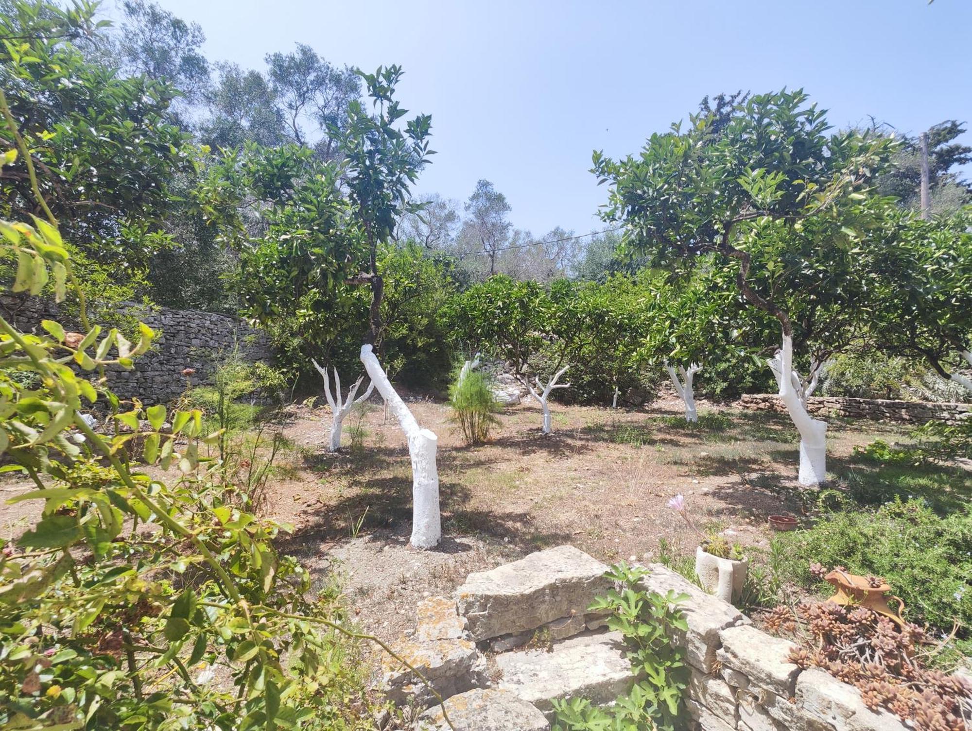 Rania'S Cottage ลักกา ภายนอก รูปภาพ