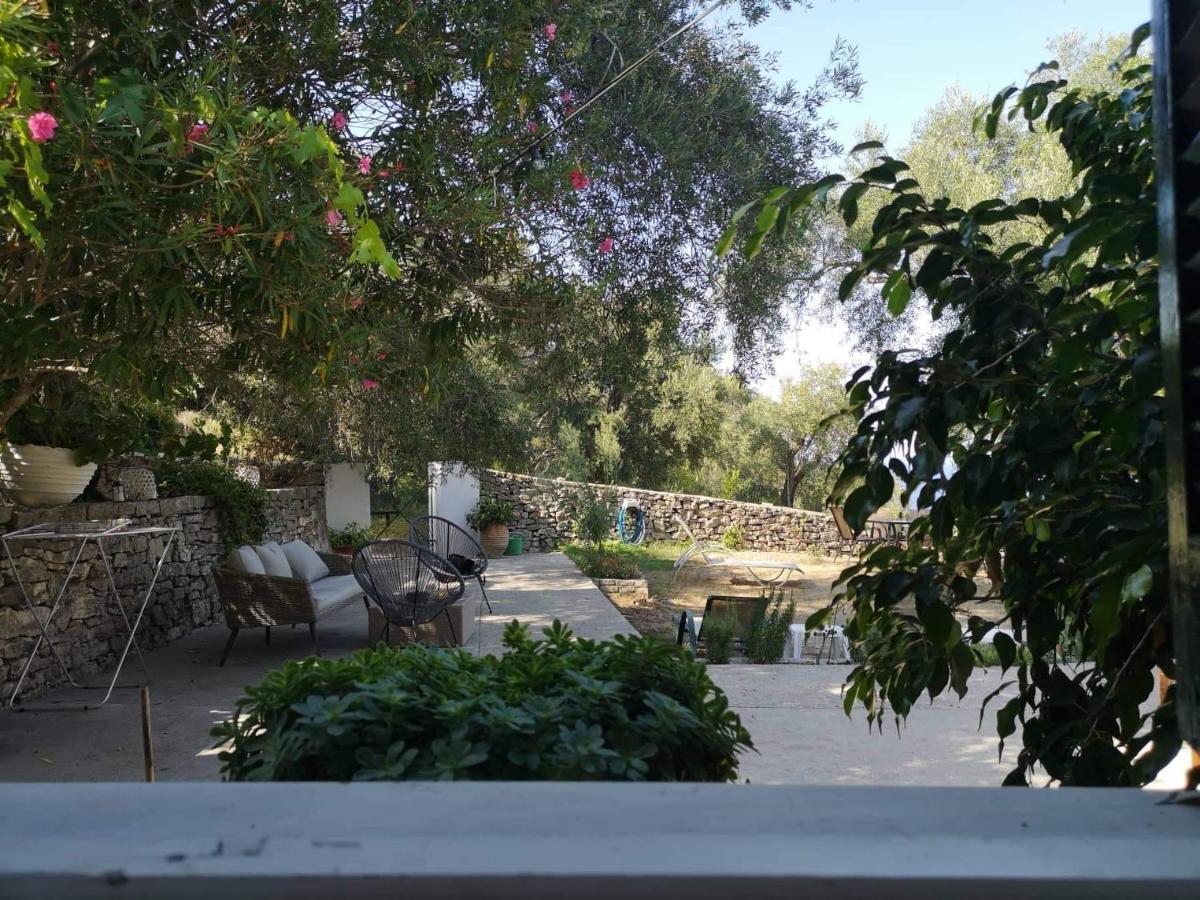Rania'S Cottage ลักกา ภายนอก รูปภาพ